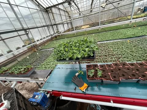 Présentation d'une activitée